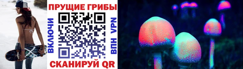 как найти закладки  Чехов  mega ONION  Псилоцибиновые грибы прущие грибы 