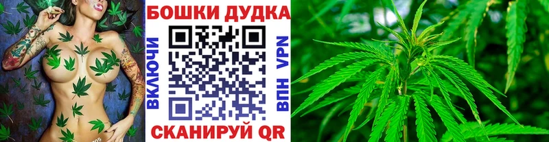 Бошки Шишки конопля  Чехов 